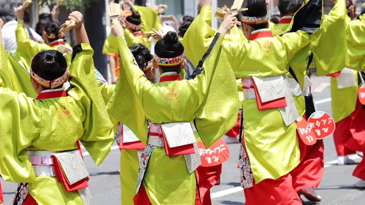 midokoro_yosakoi_よさこい