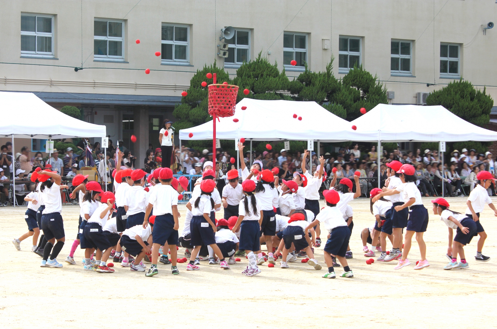 midokoro_運動会_みどころ
